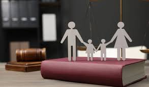 Family Law and Legal Protection for Families