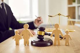 Family Law Consultation